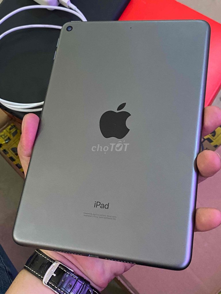 Ipad Mini 5 64GB pin 99% zin áp ốp lưng sạc zin