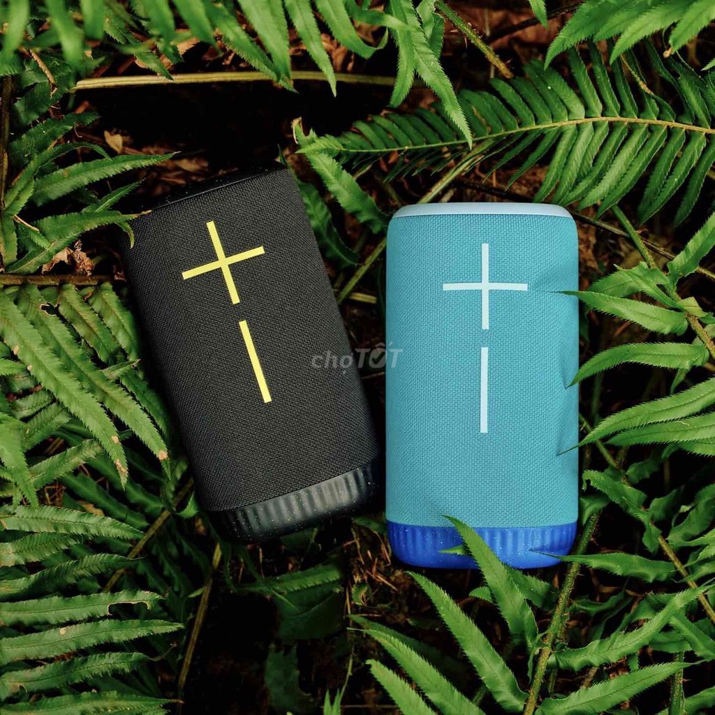 Loa Ultimate Ears EVERBOOM. Mua bán Tivi, Âm thanh tại Quận Thanh Khê Đà Nẵng được đăng bởi ASTORE43 hình 1