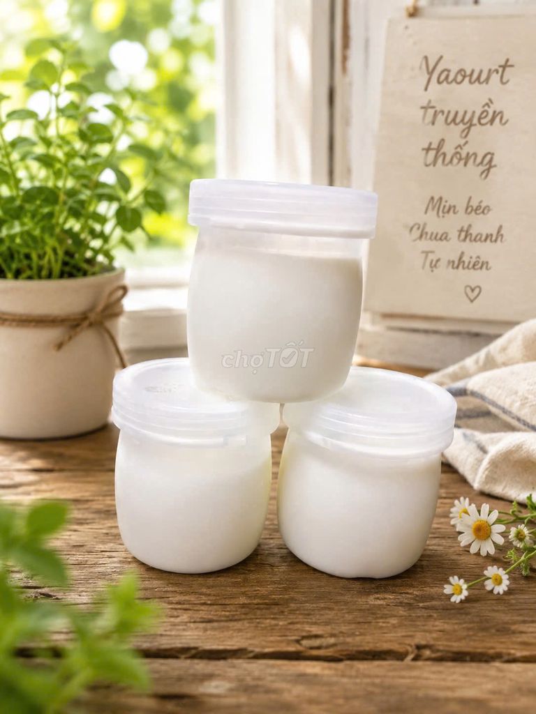 Yaourt truyền thống Chua thanh Hũ. Mua bán Đồ ăn, thực phẩm và các loại khác tại Quận 3 Tp Hồ Chí Minh được đăng bởi Cao Trần Ngọc Thi hình 1
