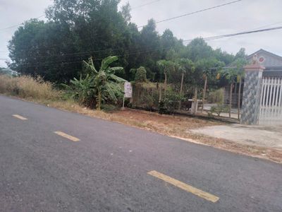 Bán đất có xưởng & đất vườn rộng hơn 4.500m2 tại Tân Châu, Tây Ninh