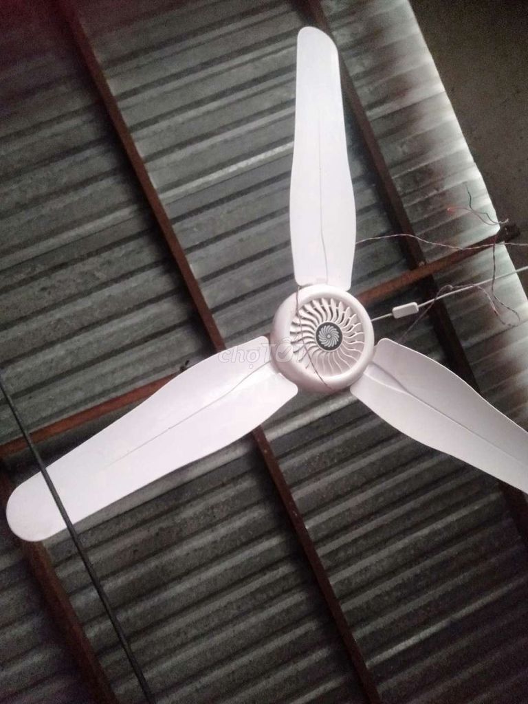 Quạt đứng S. Mua bán Quạt tại Huyện Đức Hòa Long An được đăng bởi Tuan hình 1