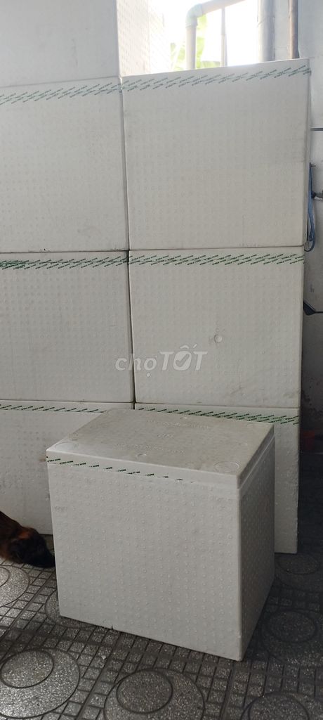 Thùng xốp Trắng 50x70x70 cm 10 cái. Mua bán Nội thất, đồ gia dụng khác tại Thành phố Dĩ An Bình Dương được đăng bởi Kaka hình 1