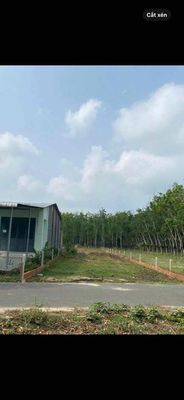 Do ở xa.Cần tiền bán rẻ lô đất 8x87m gần trường TH Định An. Mua bán đất tại Huyện Dầu Tiếng Bình Dương được đăng bởi Hồng Loan