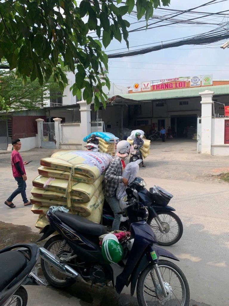 Nệm cao su non , cao su thiên nhiên