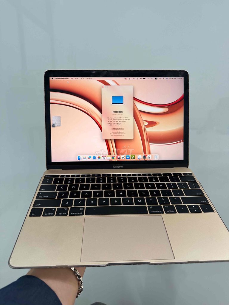 Apple MacBook Retina 12 2017. Mua bán Laptop tại Quận Đống Đa Hà Nội được đăng bởi Ng Hoang Anh hình 1