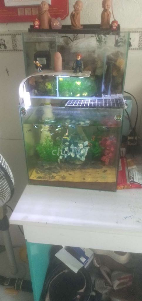 Hồ cá Kính đầy đủ phụ kiện. Mua bán Phụ kiện, Thức ăn, Dịch vụ tại Quận Thanh Khê Đà Nẵng được đăng bởi trần ngọc vũ  hình 1