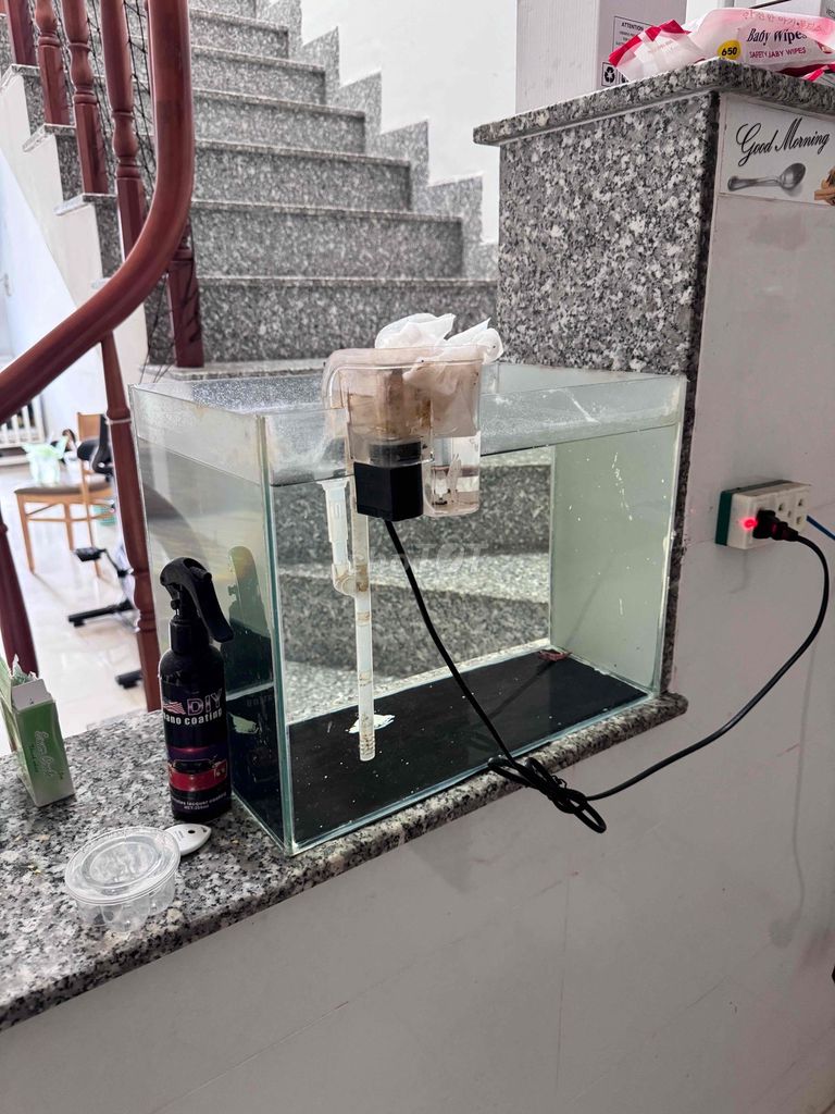Hồ cá Kính kèm Bơm. Mua bán Phụ kiện, Thức ăn, Dịch vụ tại Thành phố Vũng Tàu Bà Rịa - Vũng Tàu được đăng bởi TRỌNG TÍN LAND hình 1