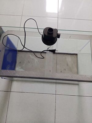 Bể cá và bơm xả hồ. Mua bán Phụ kiện, Thức ăn, Dịch vụ tại Thành phố Thuận An Bình Dương được đăng bởi hung sinh