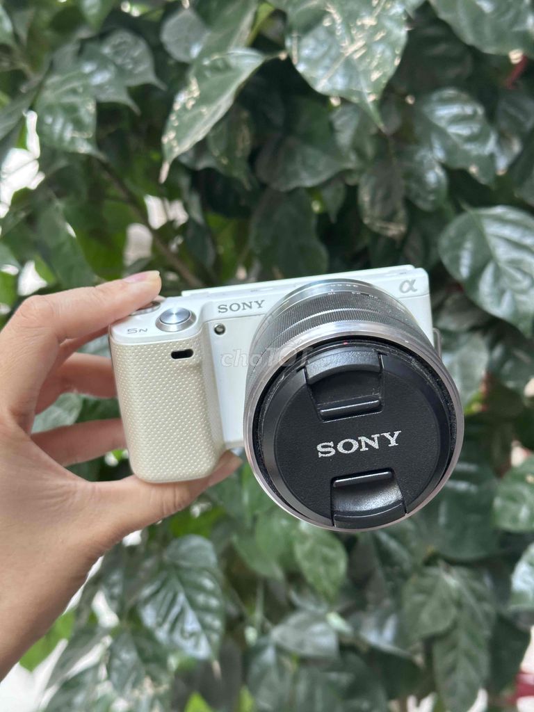 Sony Nex 5N + 18-55