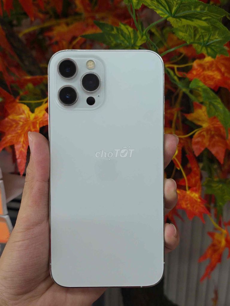 12prm nậu sớ trả trước 2tr6 nhận máy. Mua bán Điện thoại tại Quận Ninh Kiều Cần Thơ được đăng bởi PNC STORE hình 1