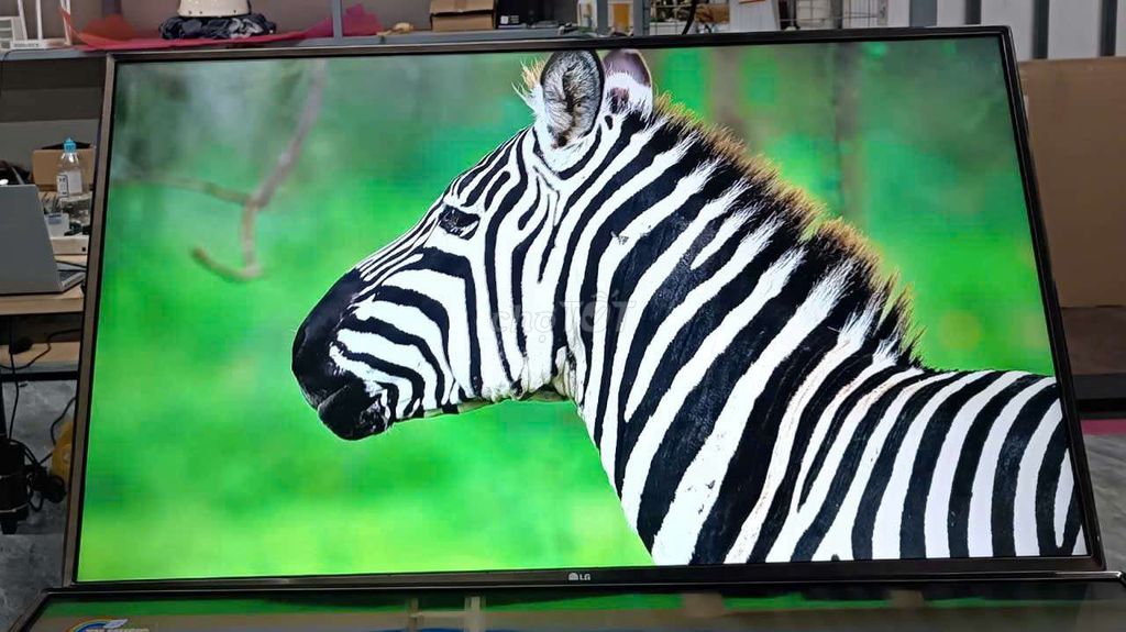 Tivi LG 43 inch Wifi Youtube Netflix. Mua bán Tivi, Âm thanh tại Quận Cẩm Lệ Đà Nẵng được đăng bởi Nguyễn Thị Ngọc hình 1