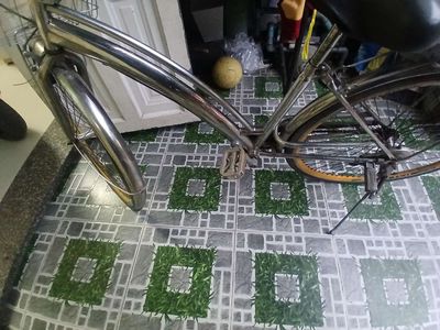 Xe đạp Bạc - 134729196