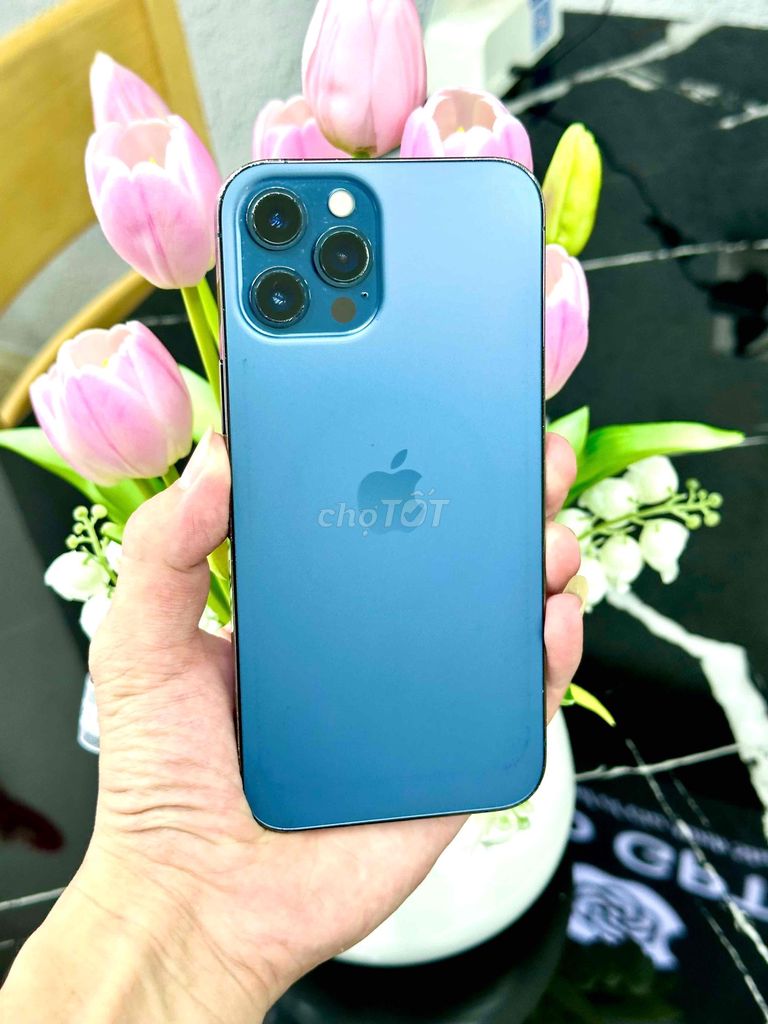 Apple iPhone 12 Pro Max 128GB Xanh. Mua bán Điện thoại tại Quận Liên Chiểu Đà Nẵng được đăng bởi Hữu hình 1