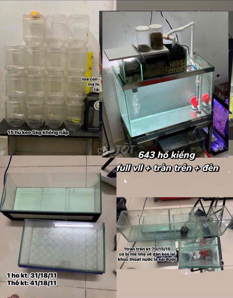 pass 643 tặng kèm cá ranchu hoặc hủ keo. Mua bán Phụ kiện, Thức ăn, Dịch vụ tại Quận Bình Tân Tp Hồ Chí Minh được đăng bởi Na Na hình 1
