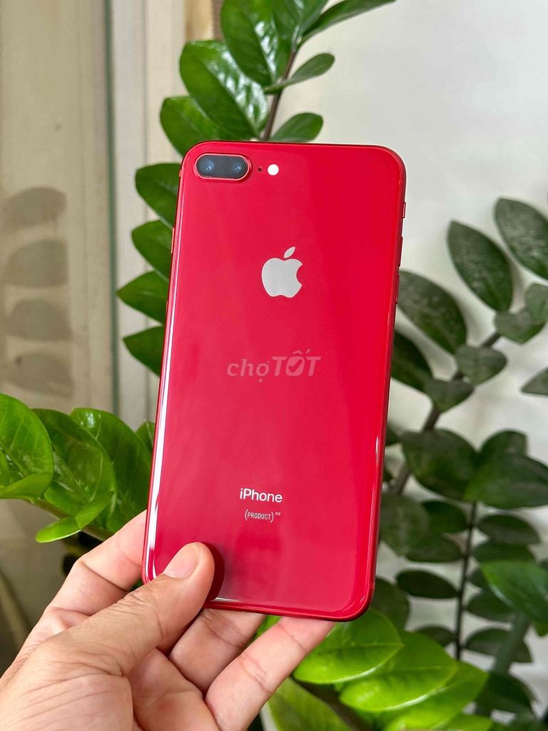 iPhone 8 Plus Quốc Tế - Hỗ Trợ Trả Góp - Ship COD