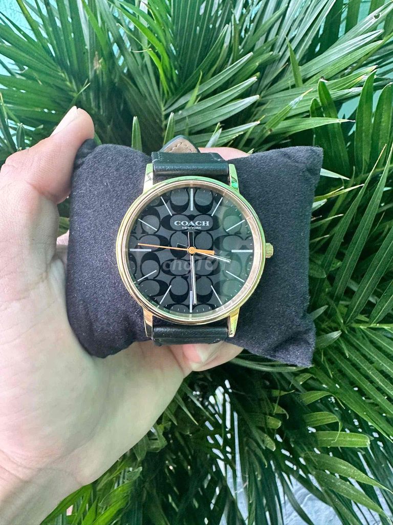Đồng hồ Coach nữ 39mm thép bọc vàng. Mua bán Đồng hồ tại Thành phố Phan Thiết Bình Thuận được đăng bởi Hùng Phan hình 1