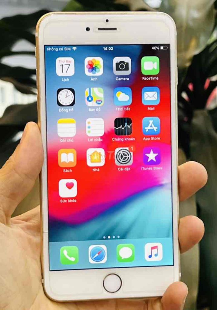 Apple iPhone 6 Plus 16GB Vàng. Mua bán Điện thoại tại Quận Đống Đa Hà Nội được đăng bởi Bảo Táo Store hình 1