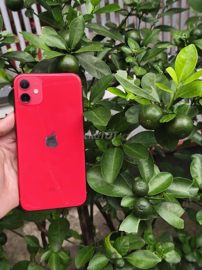 Apple iPhone 11 64GB Đỏ. Mua bán Điện thoại tại Quận 10 Tp Hồ Chí Minh được đăng bởi Nguyễn Thị Mỹ An hình 1