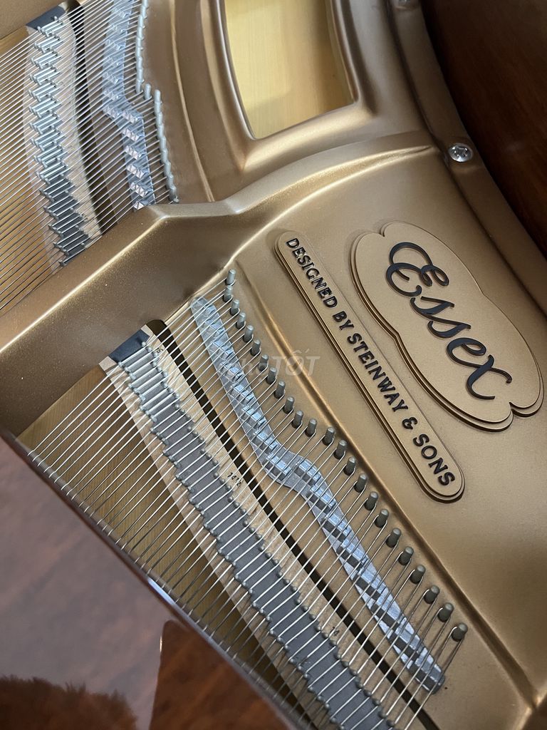 Grand Piano Essex steinway & sons