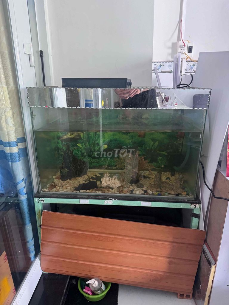 Hồ cá. Mua bán Phụ kiện, Thức ăn, Dịch vụ tại Thành phố Rạch Giá Kiên Giang được đăng bởi PC Kiên Giang Laptop Store hình 1