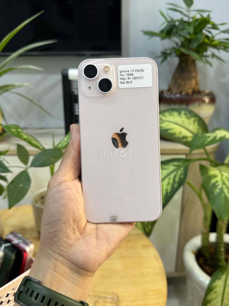 iPhone 13 256GB Quốc tế Hồng P100 Zin Đẹp 98,5. Mua bán Điện thoại tại Huyện Hóc Môn Tp Hồ Chí Minh được đăng bởi Nguyễn Thu hình 1