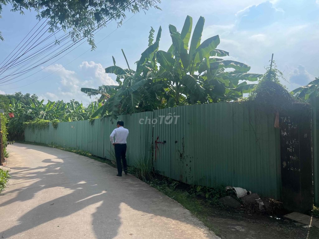 Đất sổ đỏ 964,4m2 đường Đinh Quang Ân Thành Phố Biên Hoà. Mua bán đất tại Thành phố Biên Hòa Đồng Nai được đăng bởi A.Độ hình 1