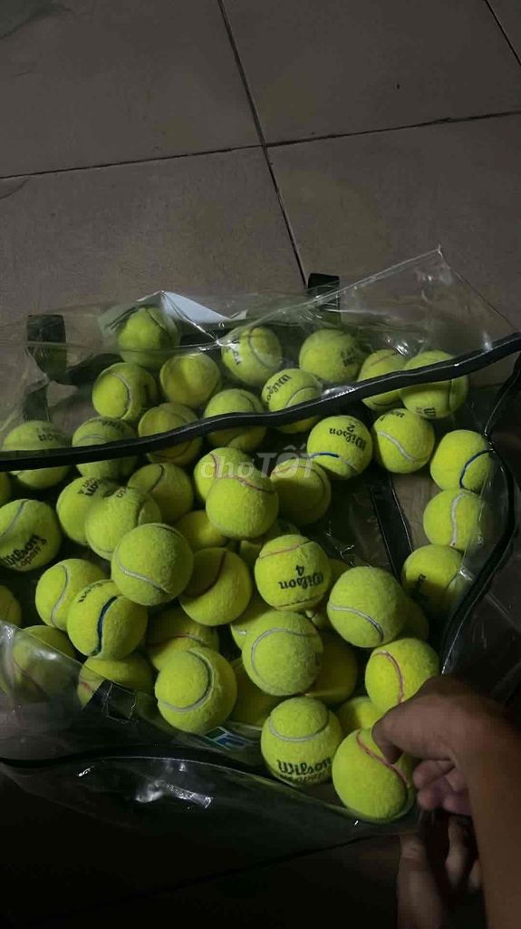 Banh tennis Wilson Vàng Nỉ. Mua bán Đồ thể thao, Dã ngoại tại Huyện Bình Chánh Tp Hồ Chí Minh được đăng bởi Khang Ngô hình 1