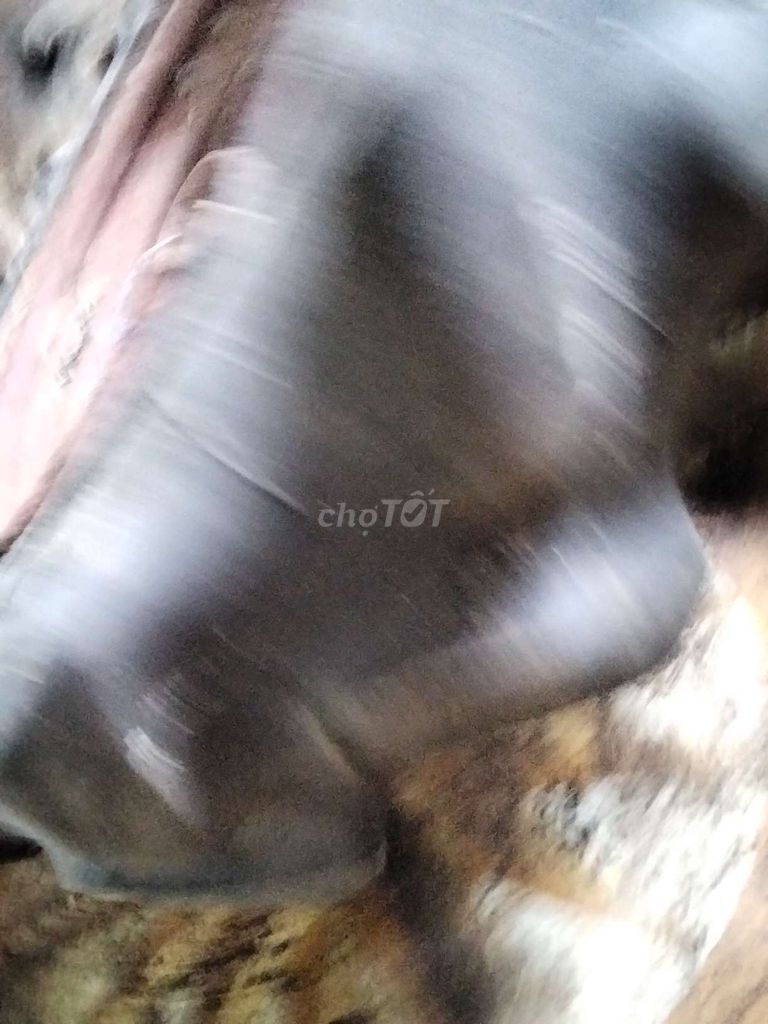 Lốp xe mam xe để chặt nhà cần bán gấp. Mua bán Phụ tùng xe tại Huyện Bến Lức Long An được đăng bởi Linh Lieu hình 10