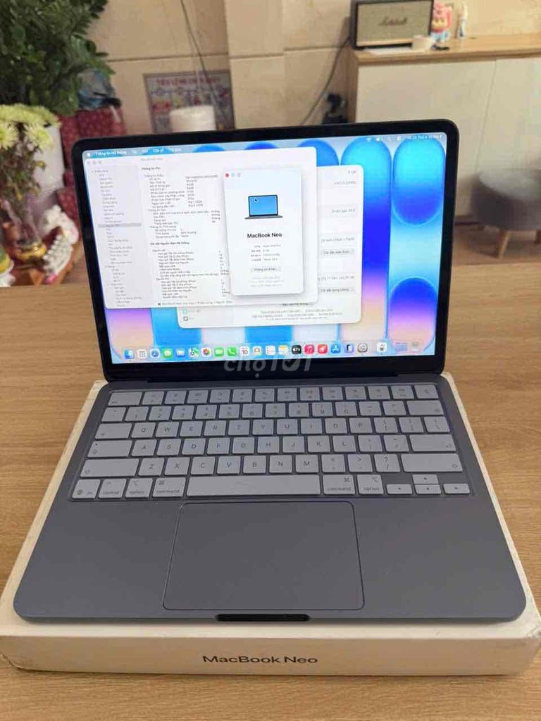 MacBook Neo 13 inch 8/256GB Xanh Indigo SA Fullbox. Mua bán Laptop tại Quận Tân Bình Tp Hồ Chí Minh được đăng bởi TuanDigi VN hình 1