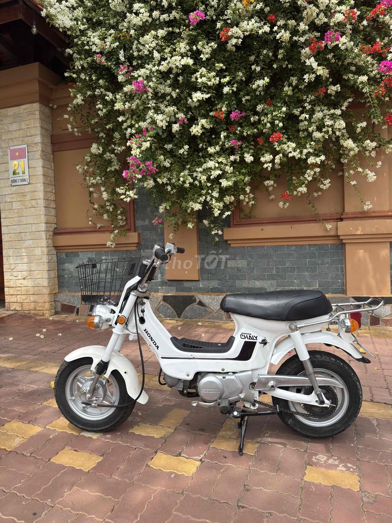 Honda Chaly белая классическая японская