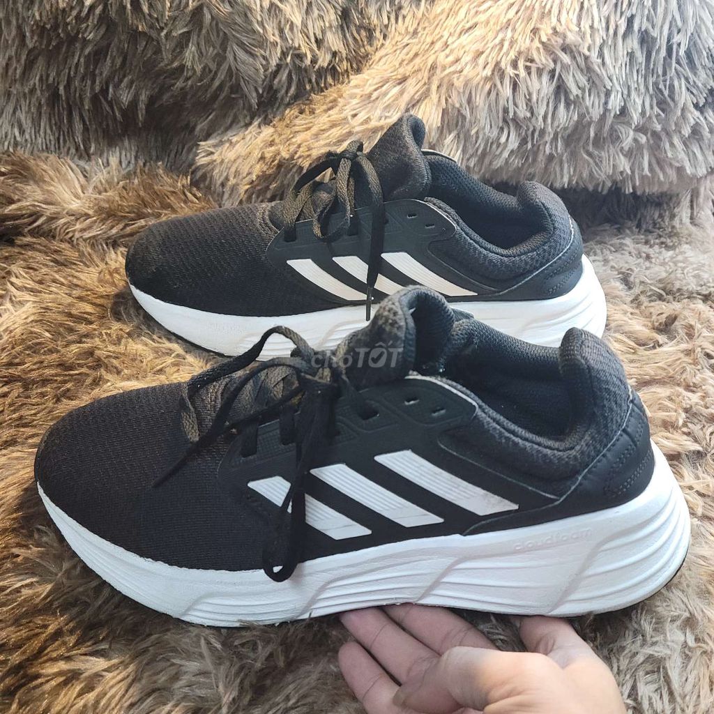 Adidas chạy bộ 2023 size 41.5