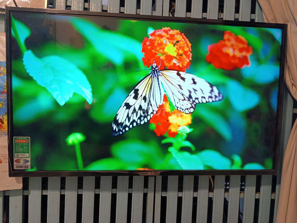 Tivi LG 43 inch. Mua bán Tivi, Âm thanh tại Thành phố Biên Hòa Đồng Nai được đăng bởi phương  hình 1