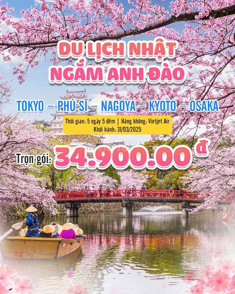 NHẬT BẢN CUNG ĐƯỜNG VÀNG NGẮM HOA ANH ĐÀO 6N5D