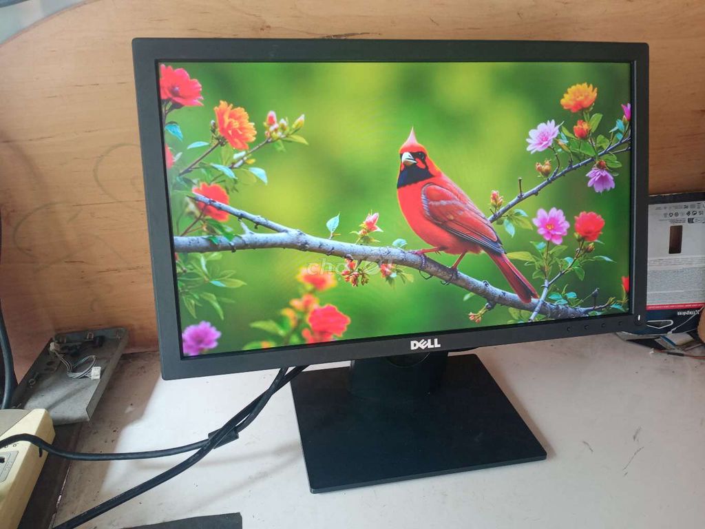 Màn hình dell 19" chất lượng cao 700k