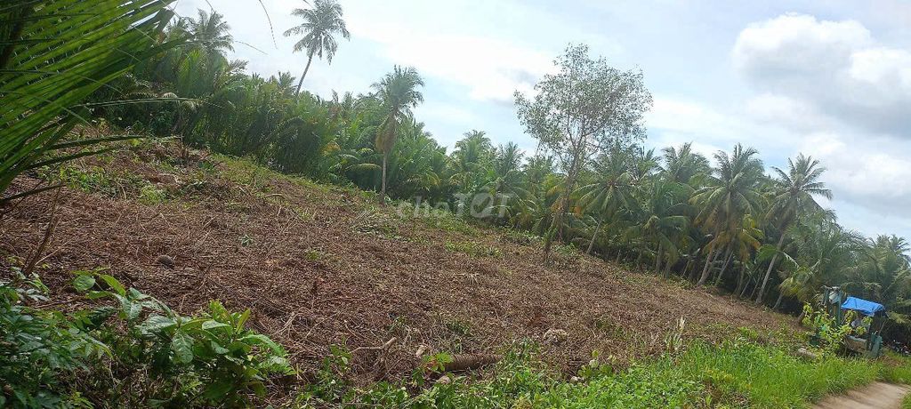 Đất vườn nghỉ dưỡng gần Trung Tâm Tp. Bến Tre