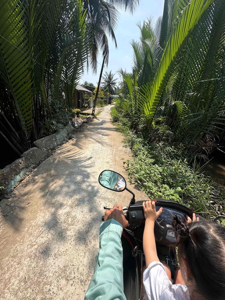 ĐẤT TÂN HỘI MỎ CÀY NAM. ĐẤT NGAY DƯỚI CẦU ÔNG ĐÌNH, GẦN CẦU MỎ CÀY