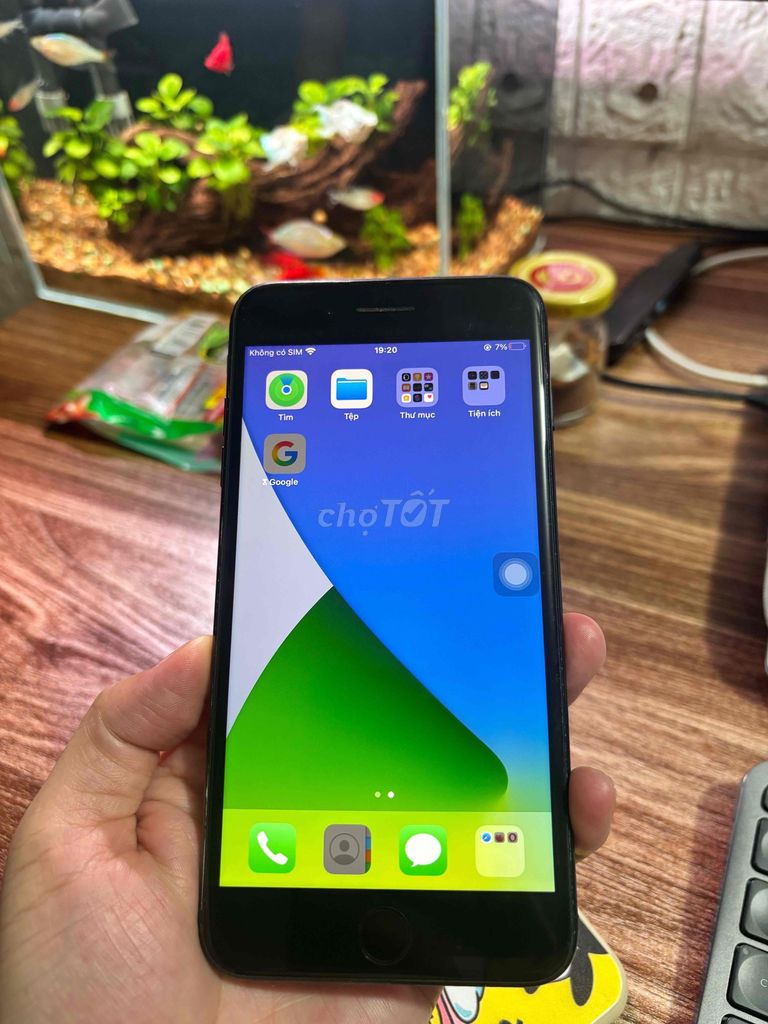 Apple iPhone 7 Plus 32GB Đen. Mua bán Điện thoại tại Thành phố Hải Dương Hải Dương được đăng bởi Phạm An hình 1