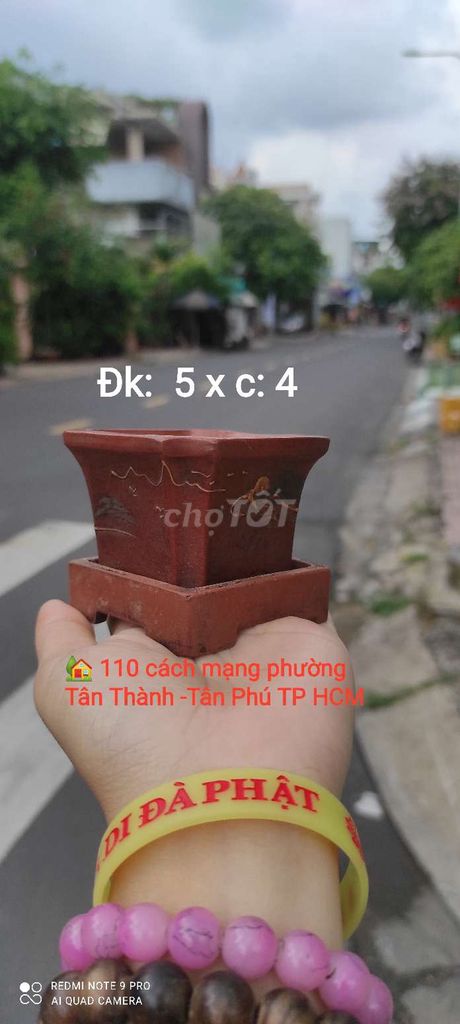 Chậu vuông giang tây