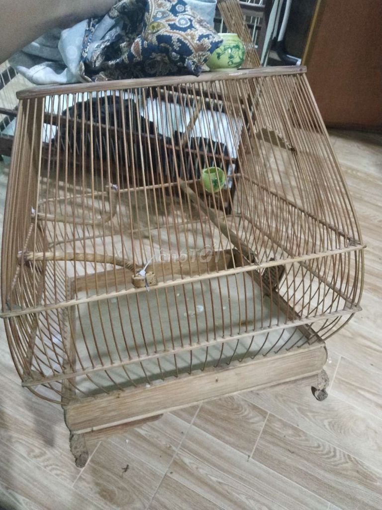 Lồng chim Gỗ Nâu. Mua bán Phụ kiện, Thức ăn, Dịch vụ tại Quận 1 Tp Hồ Chí Minh được đăng bởi Tấn Phát hình 1