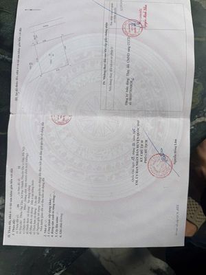 Đang hiển thị Bán đất 80-90m ngõ thông ô tránh giá chỉ nhỉnh 4 tỷ xíu