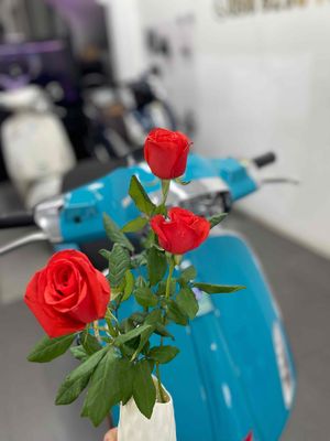 Vespa -Spin  chính chủ. Mua bán Xe máy tại Quận Phú Nhuận Tp Hồ Chí Minh được đăng bởi DŨNG HOÀNG  hình 1