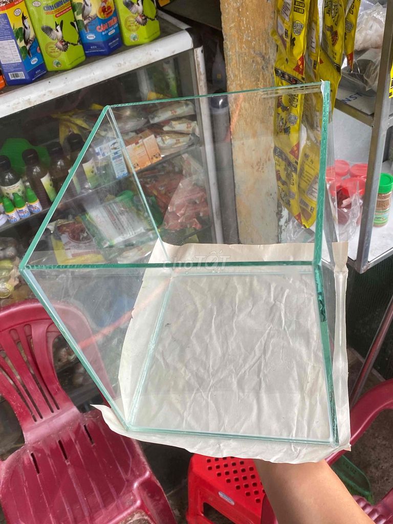 Bể cá mini Kính 20x20x20cm cubic. Mua bán Thú cưng khác tại Thành phố Huế Thừa Thiên Huế được đăng bởi Anh hùng hình 1