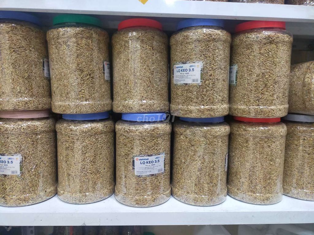 Thức ăn chim Vietnhat Thóc xây củ. Mua bán Phụ kiện, Thức ăn, Dịch vụ tại Quận Bắc Từ Liêm Hà Nội được đăng bởi Việt Tùng hình 1