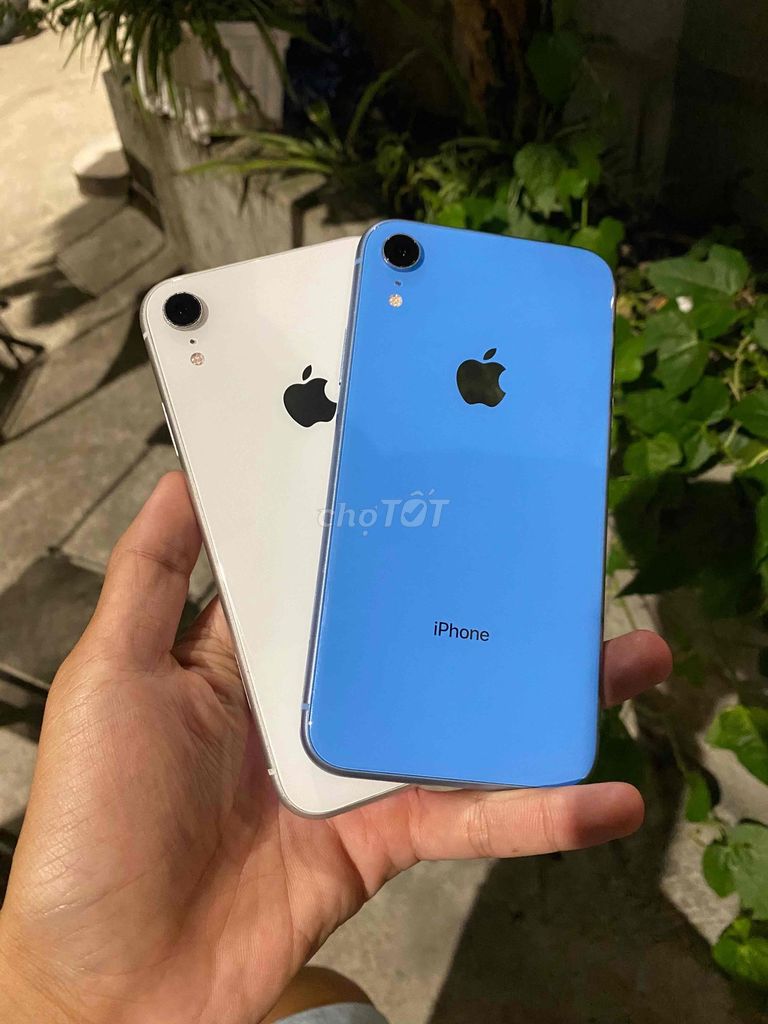 Iphone XR 64GB Quốc Tế zin