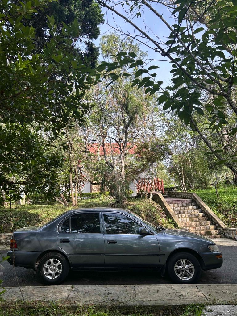 Ảnh số 6