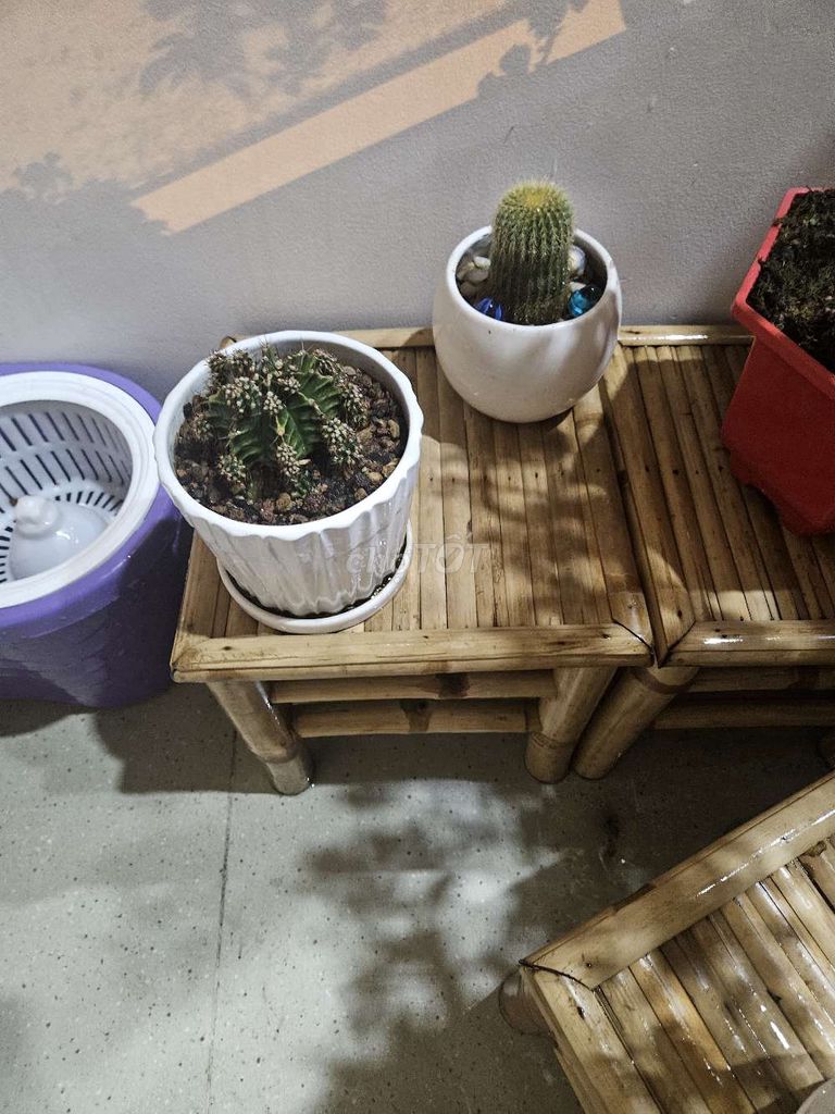 Ghế đẩu Tre Vàng tre. Mua bán Bàn ghế tại Quận 11 Tp Hồ Chí Minh được đăng bởi Trường Giang Trịnh hình 1
