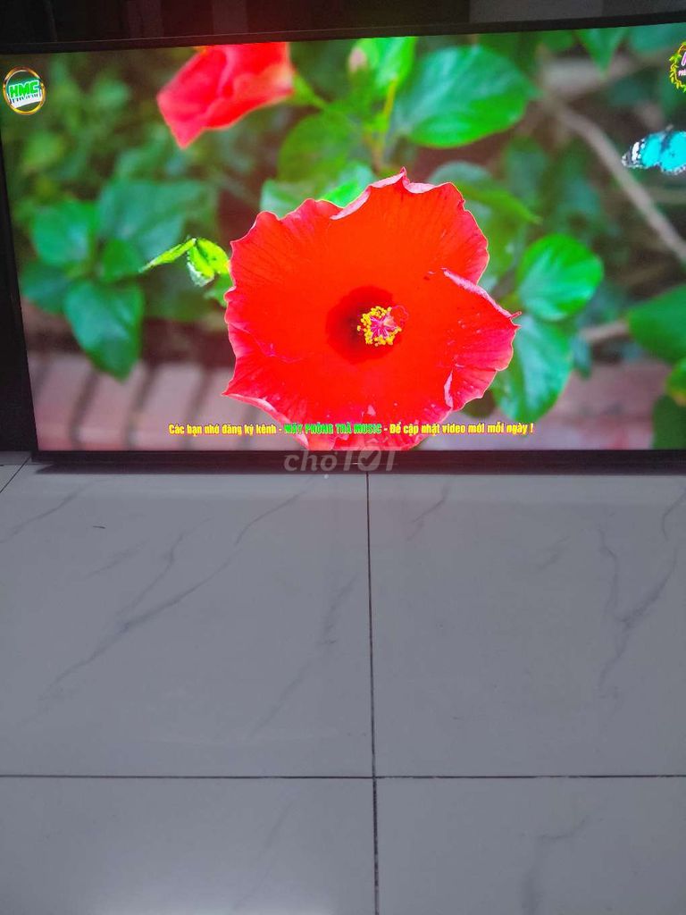 Tivi Sony 49x8000g. Mua bán Tivi, Âm thanh tại Quận Phú Nhuận Tp Hồ Chí Minh được đăng bởi Van Ha hình 1