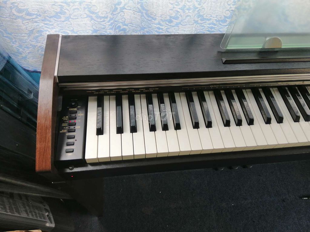 0379519816 - Piano Casio PX700