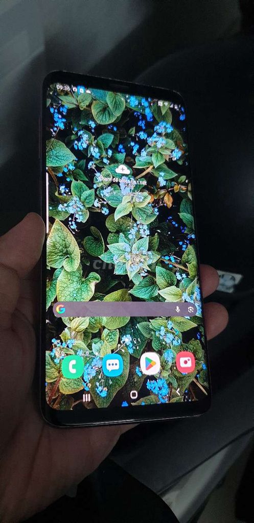 Samsung S9plus ram 6gb xài chữa cháy ok. Mua bán Điện thoại tại Quận Bình Thạnh Tp Hồ Chí Minh được đăng bởi Trần Gia Bảo hình 1