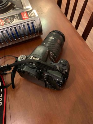 canon 70d kèm len 55 250. Mua bán Máy ảnh, Máy quay tại Quận 7 Tp Hồ Chí Minh được đăng bởi Nguyễn Tuyết Nhung